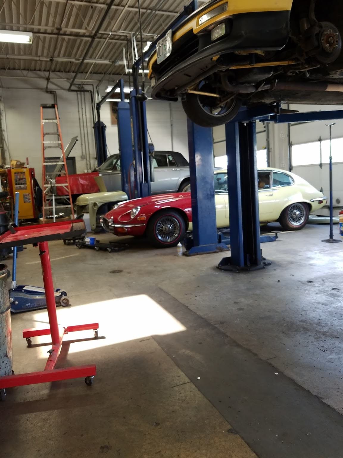 George's Import Ltd Gallery Image